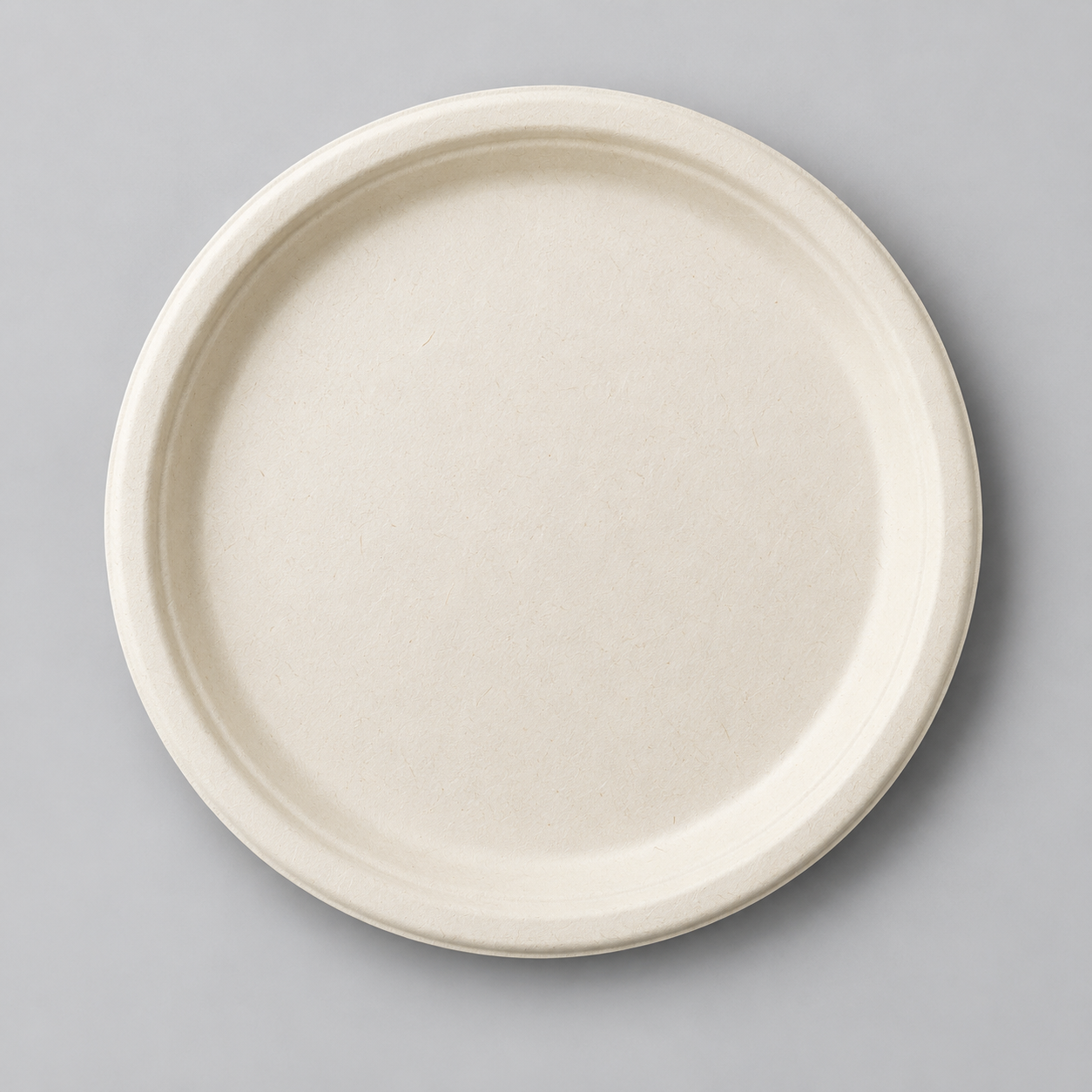 Sugarcane Bagasse Plates, 12 Inch Round, Biodegradable & Compostable Disposable Plates (Pack of 25)